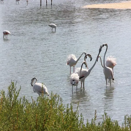 Apartament Casa Veintiuno En *