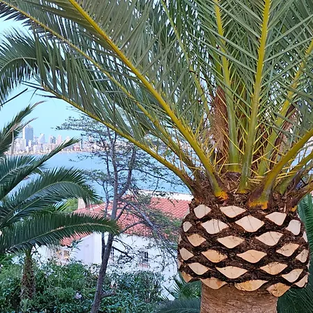 Casa Veintiuno En Appartamento