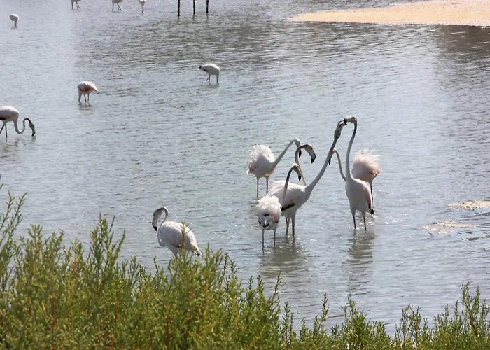 Apartman Casa Veintiuno En *