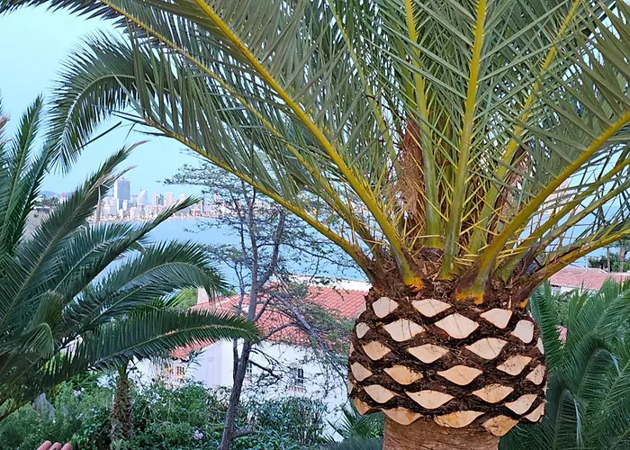 Casa Veintiuno En Lägenhet